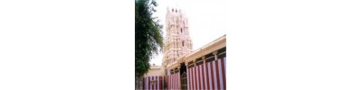 பெருங்குளம்